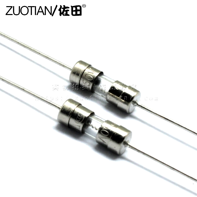 3.6*10保险丝 2A 慢断 T2A  2000MA 带引线/引脚保险丝（20只）