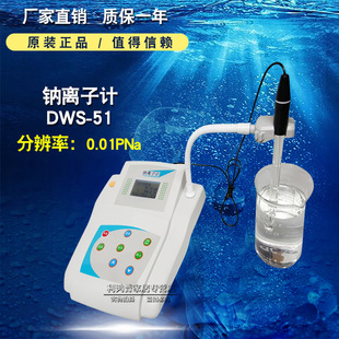 电极法钠离子浓度计 DWS 51型钠离子测定仪 钠离子检测仪 钠度计