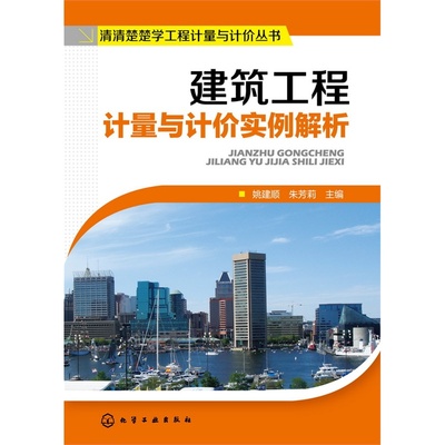 建筑工程计量与计价实例解析 建筑工程造价入门书籍 造价员基础知识 建设工程工程量清单计价规范 建筑工程计量与计价实务教材书籍