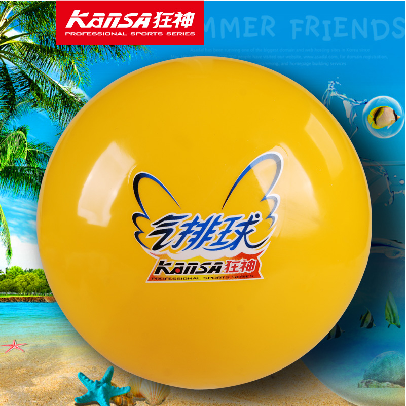 Ballon de volley - Ref 2007984 Image 1