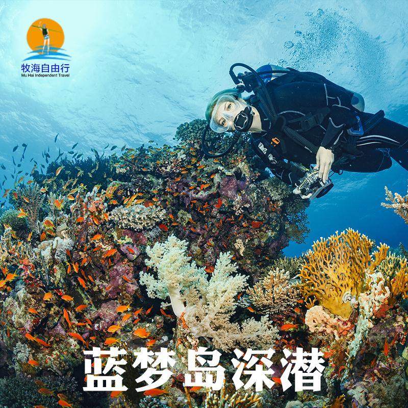 Bali diving Dive Parenting Blue Dream Turan Flippers equipment Dive Package Visitin the Holiday Line/Visas send off/Travel services , Merchandise/Service/Travel Goods , Local travel options and services , Diving/Shore diving/Boat dives  category - from Buy2taobao.com to provide professional Taobao agent buy service