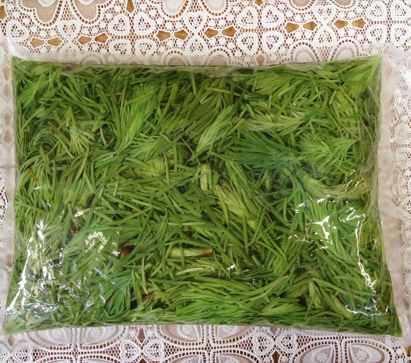 沙松尖 食用新鲜凤尾花 云南特产餐厅选购 保鲜野菜 盐水泡