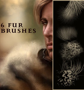 PS笔刷画笔笔触 绒毛毛发PS笔刷