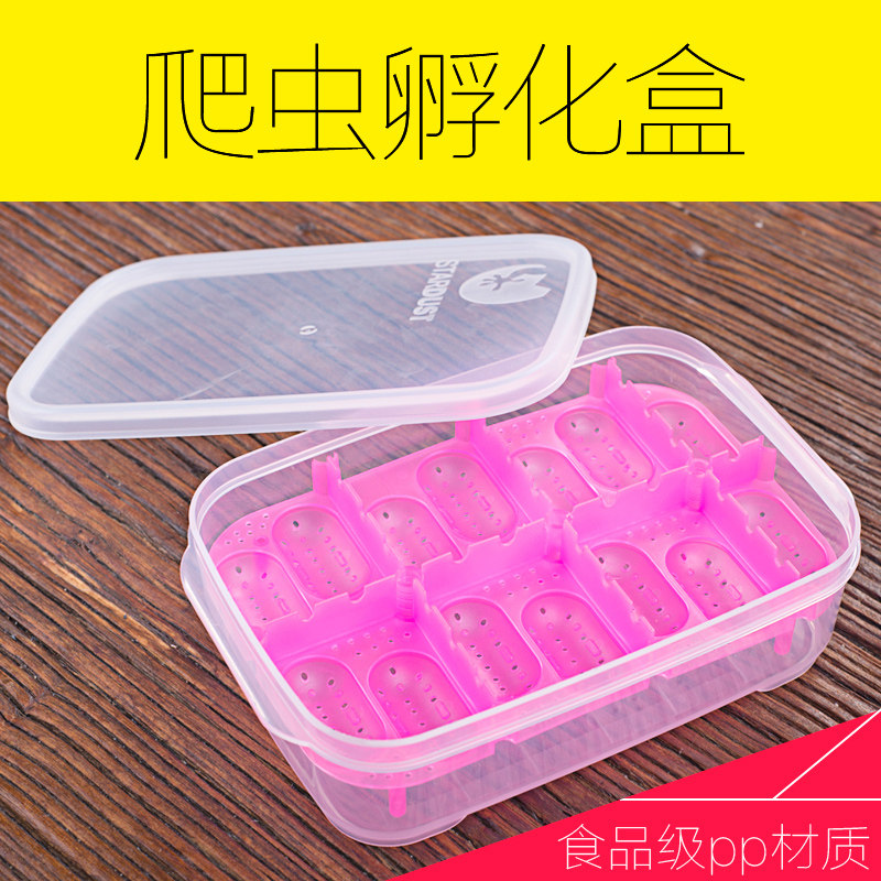 Climb pet Reptile Dedicated Incubation Box Tortoise Gecko Lizard Chameleon Incubators Incubator Egg tray Multiplicationin the Pet/Pet food and supplies , Reptile/Insects and supplies Ming , Other reptiles/Ming insects  category - from Buy2taobao.com to provide professional Taobao agent buy service