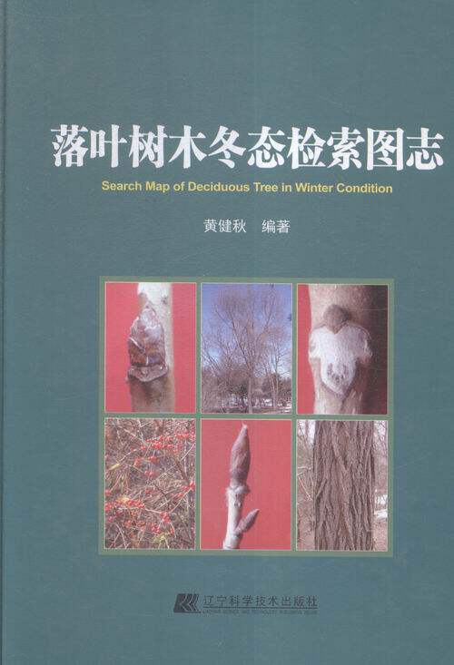 正版包邮 落叶树木冬态检索图志 黄健秋 林业 书籍排行榜