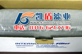 定做PI25100RN玛勒滤芯