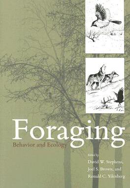 【预售】Foraging: Behavior and Ecology