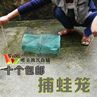 蛙网专业青蛙笼田鸡笼高效田鸡笼捕田鸡笼青蛙笼捕青蛙笼