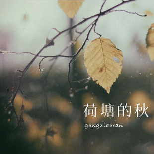 秋 祝福清华大学百年华诞 荷塘 龚晓然