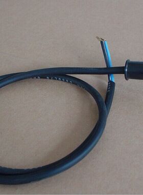 奥林匹亚正感/侧感电眼 Olympia火焰探测器 PG390-06/PG930-06