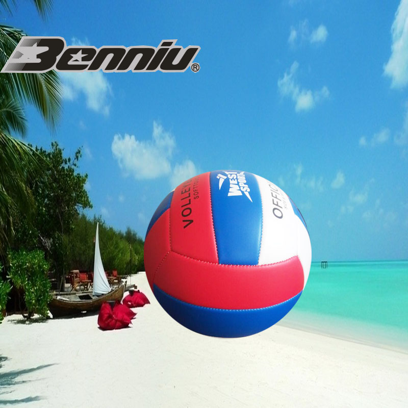 Ballon de volley - Ref 2014938 Image 1