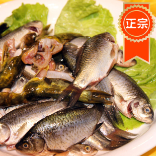苏北活河 生态鲜活新鲜 昂刺鱼 鲫鱼 草鱼 黑鱼 泥鳅 黄鳝 生态鱼