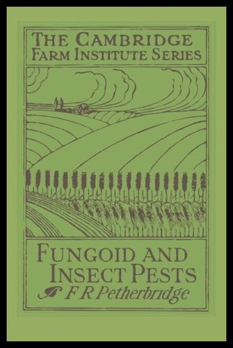 美国库房发货，通常付款后5-8周到货！