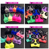 Coques pour soutien-gorge CANVAUS - Ref 822221 Image 27