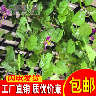 饰花假花仿真花 假葡萄藤仿真葡萄叶塑料花绿叶藤蔓管道吊顶藤条装