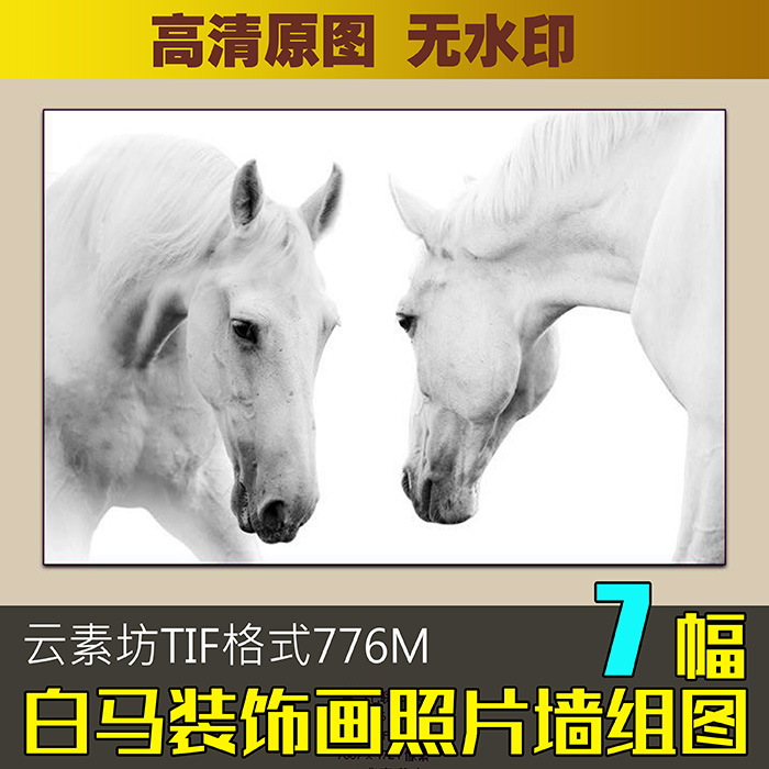 白马装饰画组图 照片墙组合画框画芯 高清图片素材图库喷绘电子图图片