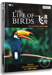 英国广播BBC飞禽传D9完整版 杰作3DVD 全球鸟类纪录片经典