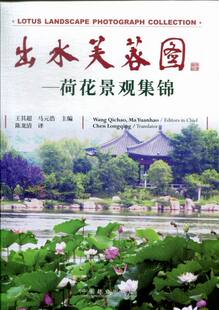 出水芙蓉图 作品赏析书籍 书店 作品集 王其超 书 正版 畅想畅销书 荷花景观集锦