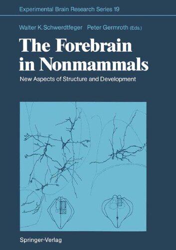 【预订】The Forebrain in Nonmammals: New Asp...