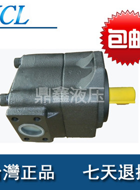 VQ20-23-F-RAA-01 VQ20-26 VQ20-31 VQ20-6 台湾凯嘉VQ高压油泵