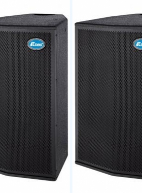 CDBO/卡迪宝WS10A KTV酒吧会议室10寸专业舞台音箱卡拉ok演绎音响