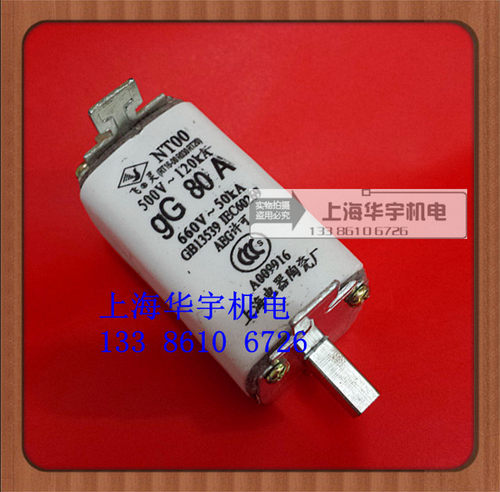上海飞灵NT00 RT16-00 R031熔断器40A50A63A80A100A125A160A熔芯