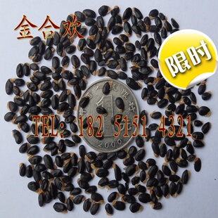 出售优质合欢种子、鸭皂树，刺球花，牛角花、金合欢种子