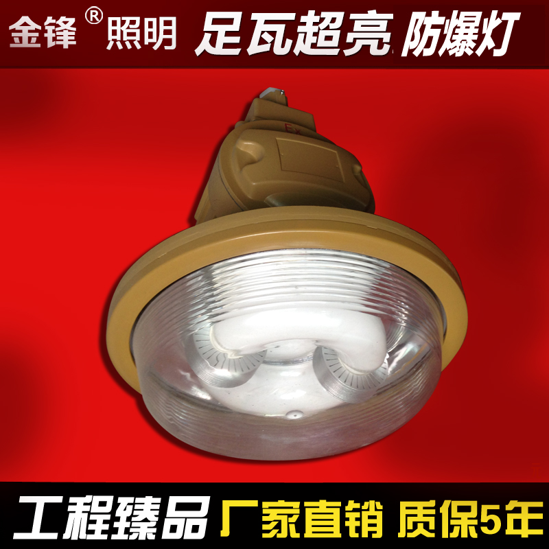 80W免維護(hù)低頻無極燈防爆森本無極燈 高能效 5年質(zhì)保 廠家直銷