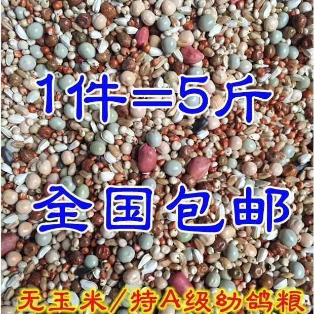 包邮5斤装特A级鸽粮无玉米