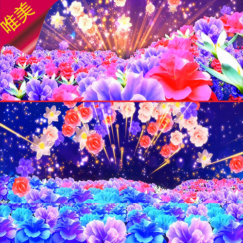 绚丽花海 花的海洋 喜庆新年 年会 大合唱 绽放花朵 视频素材