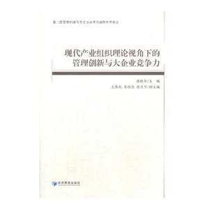 现代产业组织理论视角下的管理创新与大企业竞争力