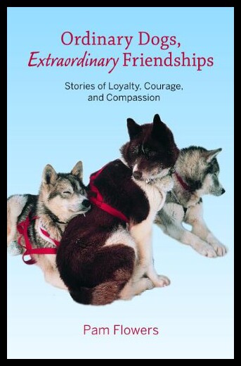 【预售】Ordinary Dogs, Extraordinary Friendships: Stories