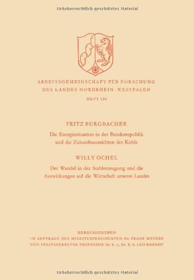 【预售】Die Energiesituation Der Bundesrepublik Und Di...