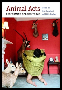 预售 Species Animal Performing Today Acts