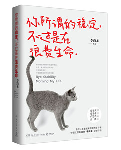 你所谓的稳定，不过是在浪费生命 李尚龙