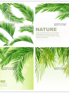 A2727矢量热带棕榈树叶图案自然背景 AI设计素材