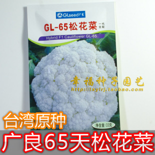 【广良GL-65松花菜】种子 台湾原种 西兰花 有机花椰菜种子口感好