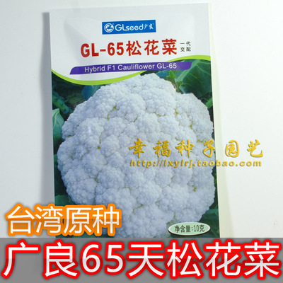 青梗松花菜甜脆好吃容易种植丰产