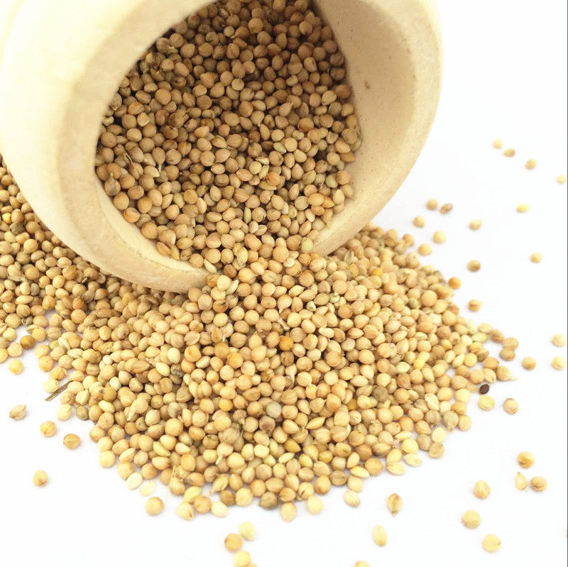 带壳小米/虎皮牡丹玄凤鹦鹉/文鸟/鸟食黄谷子/鸟粮/ 500克