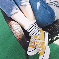Bốn mùa cotton hoang văn học vớ pinstripe tươi của phụ nữ trong ống đồng nền tảng đáy đơn giản vớ phụ nữ - Bít tất nữ tất nữ cổ trung