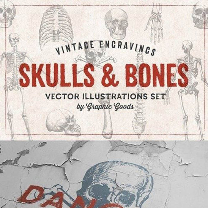 [383]复古人体骨架骨骼线稿素描 AI矢量设计素材含PSD格式+PNG