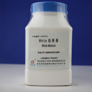 white培养基 木本植物组织培养 干粉培养基 250g 青岛海博培养基
