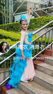 鸿舞衣出品专业量身定制各类舞蹈服装 儿童傣族蓝孔雀