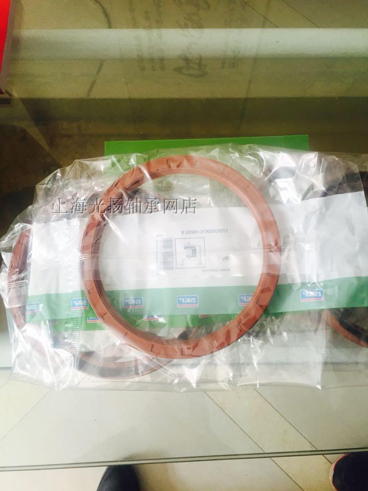 瑞典 SKF密封圈 CR密封 170*200*15 HMS5 V