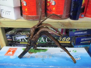 天然/沉水木/精品M1008号 富贵型 纹理好多分叉 优质 沉木NEW优