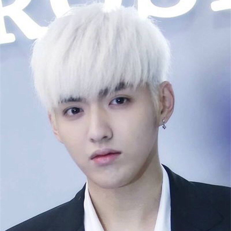 Perruque cheveux raides Court - Ref 2607552 Image 1