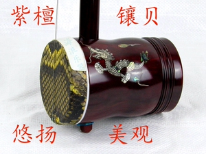 海浪乐器 正品彩贝老紫檀龙头高胡广东高胡乐器专业演奏高胡戏曲