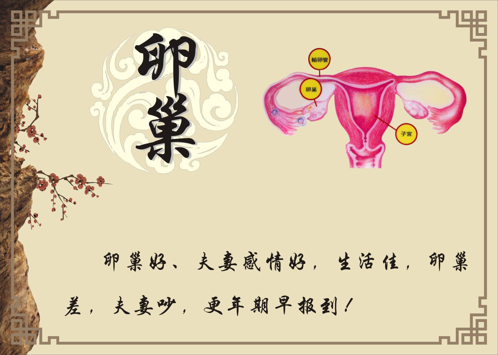 733海报印制展板写真喷绘贴纸13中医养生五脏保养6卵巢