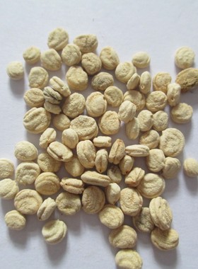 包邮长白山 山参种子人参种子参西洋参种子鲜人参5粒仅卖1.5元