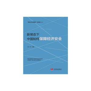新常态下，中国如何保障经济安全